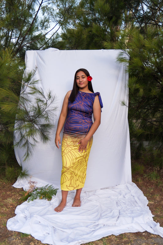 Ana Dress Size 14