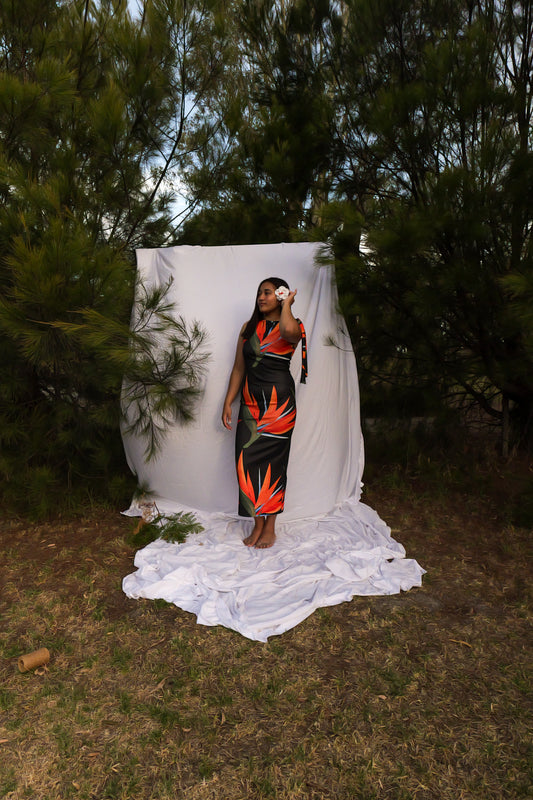 Ana Dress Size 12