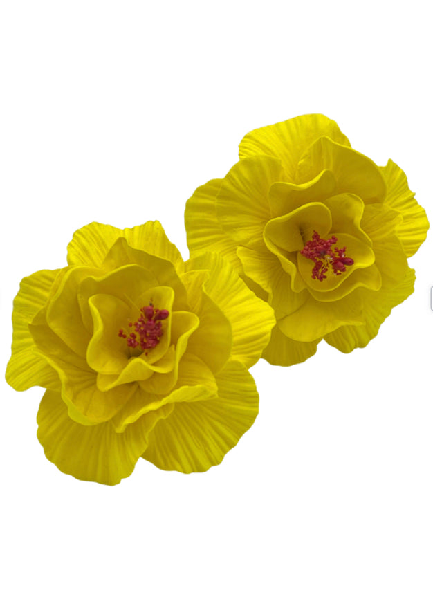 Yellow Hibiscus Sei