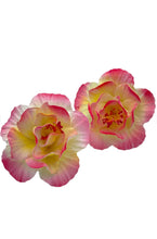 Load image into Gallery viewer, Light Pink Hibiscus
