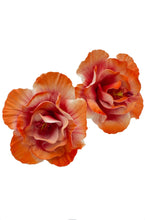 Load image into Gallery viewer, Orange Hibiscus Sei
