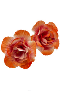 Orange Hibiscus Sei