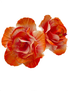 Orange Hibiscus Sei