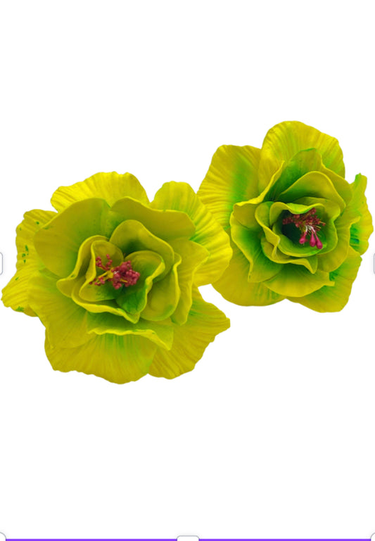 Yellow Green Hibiscus