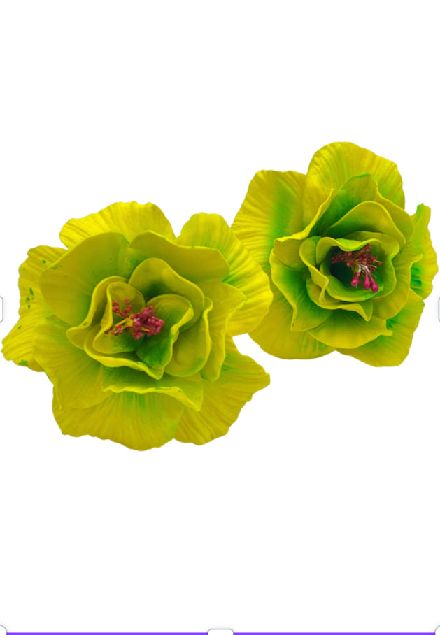 Yellow Green Hibiscus