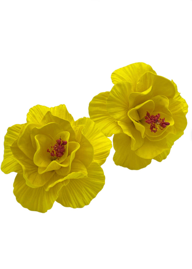 Yellow Hibiscus Sei