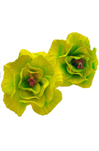 Yellow Green Hibiscus